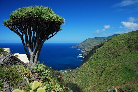 La Palma convoca ayudas